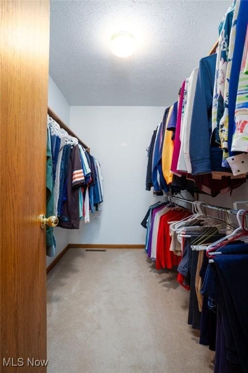 302 Brookpoint Cir, Wadsworth, OH 44281 - spacious closet featuring carpet floors