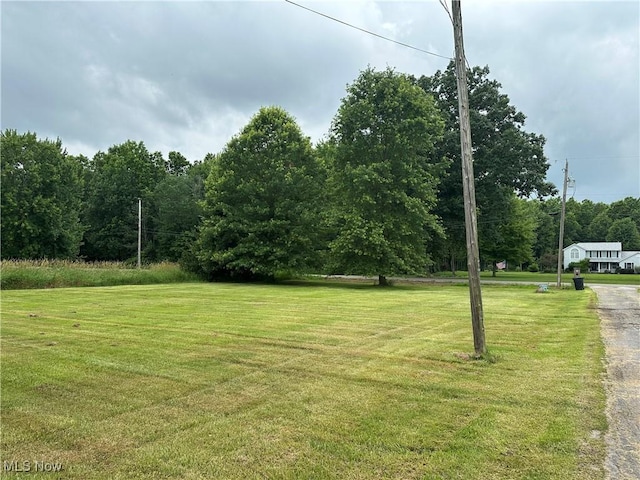 3123 S Duck Creek Rd, North Jackson, OH 44451 - view of green lawn