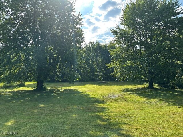 3123 S Duck Creek Rd, North Jackson, OH 44451 - view of green lawn