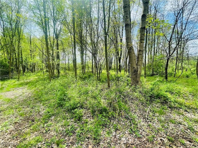 7395 S Cleveland Massillon Rd, Clinton, OH 44216