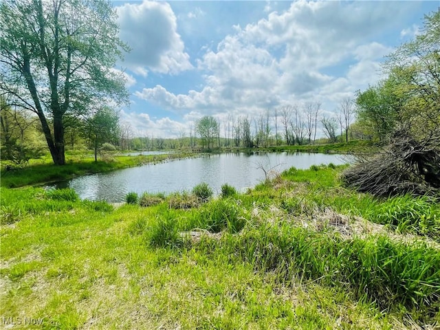 7395 S Cleveland Massillon Rd, Clinton, OH 44216