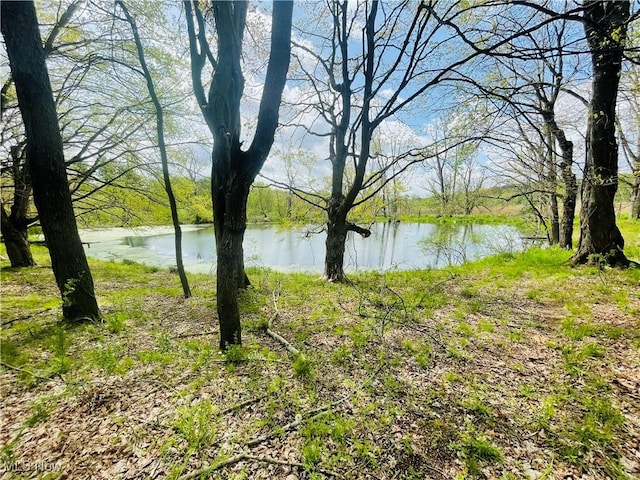 7395 S Cleveland Massillon Rd, Clinton, OH 44216