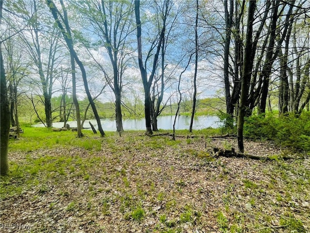 7395 S Cleveland Massillon Rd, Clinton, OH 44216