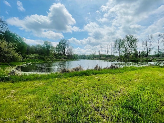 7395 S Cleveland Massillon Rd, Clinton, OH 44216