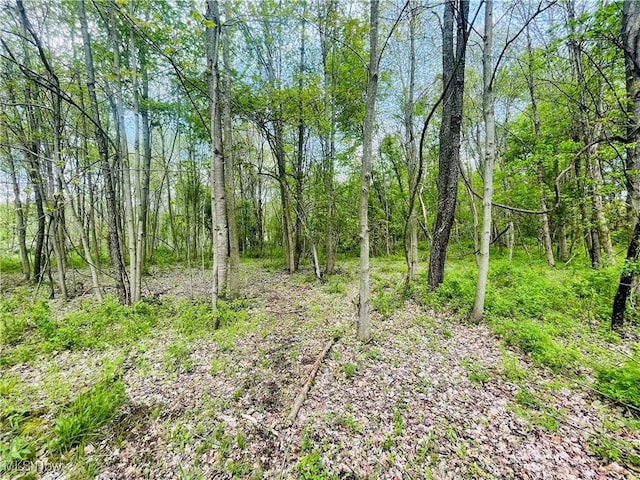 7395 S Cleveland Massillon Rd, Clinton, OH 44216