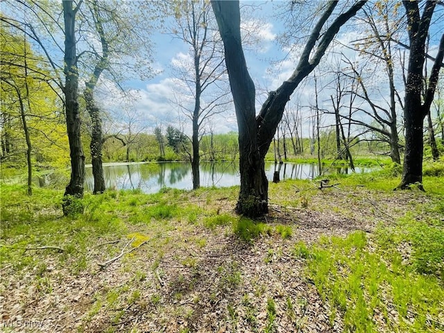 7395 S Cleveland Massillon Rd, Clinton, OH 44216