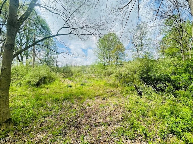 7395 S Cleveland Massillon Rd, Clinton, OH 44216