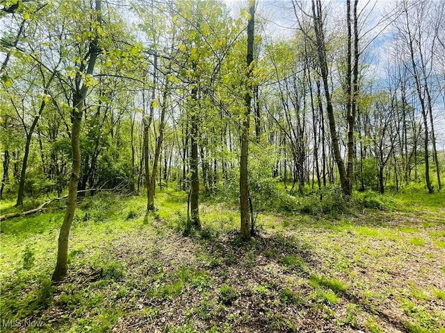 7395 S Cleveland Massillon Rd, Clinton, OH 44216