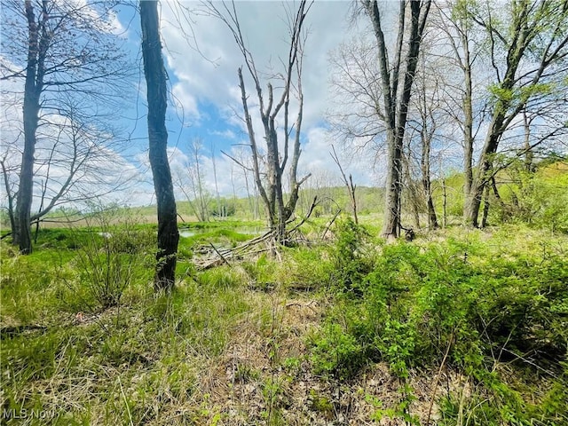 7395 S Cleveland Massillon Rd, Clinton, OH 44216