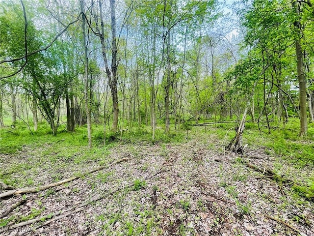 7395 S Cleveland Massillon Rd, Clinton, OH 44216