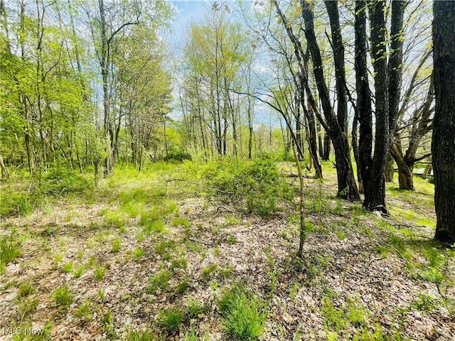 7395 S Cleveland Massillon Rd, Clinton, OH 44216