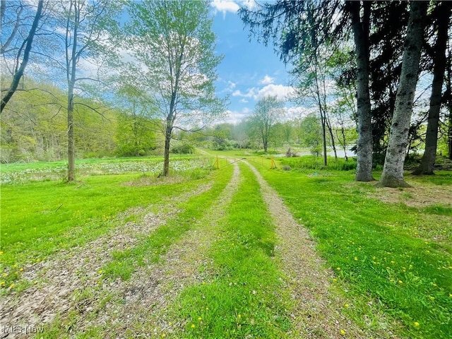7395 S Cleveland Massillon Rd, Clinton, OH 44216