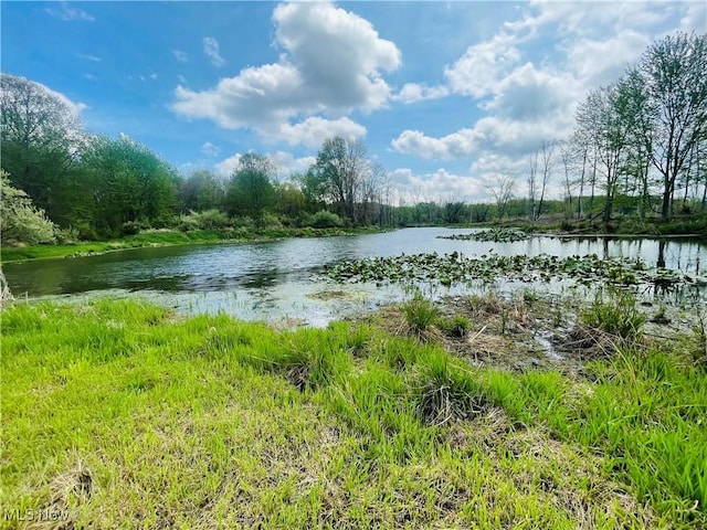 7395 S Cleveland Massillon Rd, Clinton, OH 44216