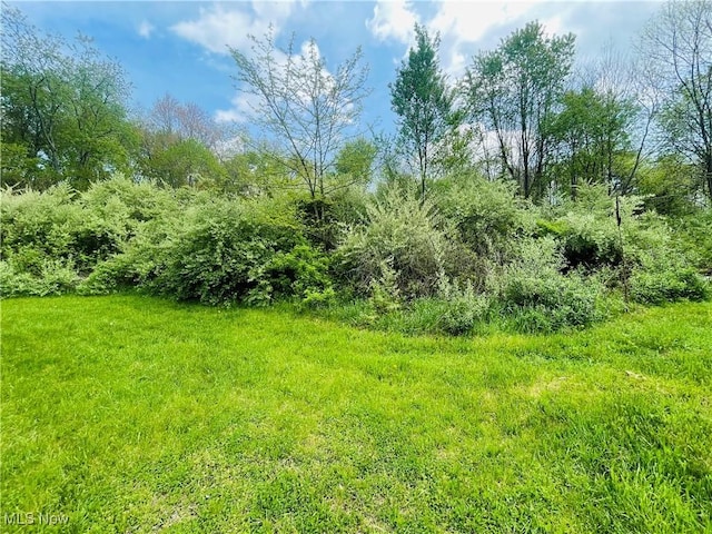 7395 S Cleveland Massillon Rd, Clinton, OH 44216