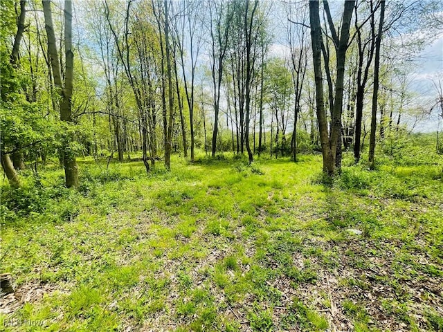 7395 S Cleveland Massillon Rd, Clinton, OH 44216