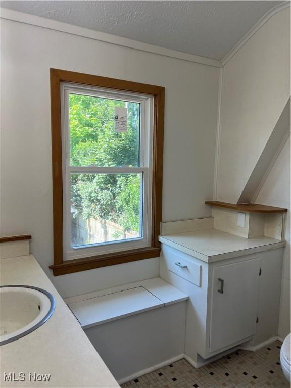 1820 E 47th St, Ashtabula, OH 44004 - bathroom featuring plenty of natural light, vanity, ornamental molding, and a textured ceiling