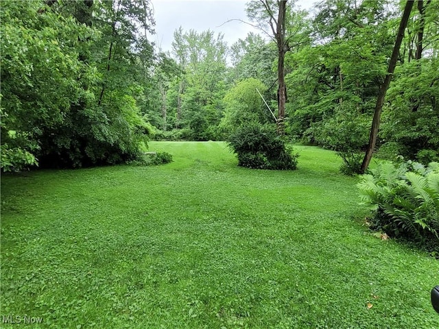 207 N Hambden St, Chardon, OH 44024 - photo 40