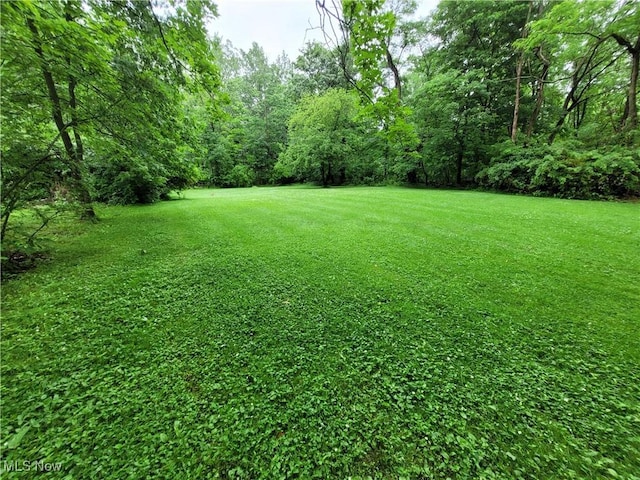 207 N Hambden St, Chardon, OH 44024 - photo 41