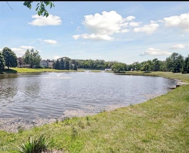7135 N Holmes Pl, Concord, OH 44077 - water view