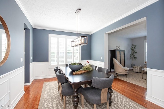 31008 Logan Ct, Westlake, OH 44145 - dining area featuring a textured ceiling, light wood-style flooring, a wainscoted wall, a chandelier, and a decorative wall