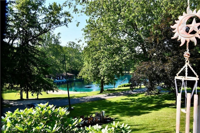 1511 Lake Front Dr, Salem, OH 44460 - view of community with a water view and a yard