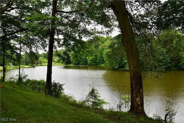 1511 Lake Front Dr, Salem, OH 44460 - water view featuring a forest