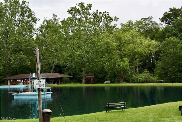 1511 Lake Front Dr, Salem, OH 44460 - view of community featuring a water view