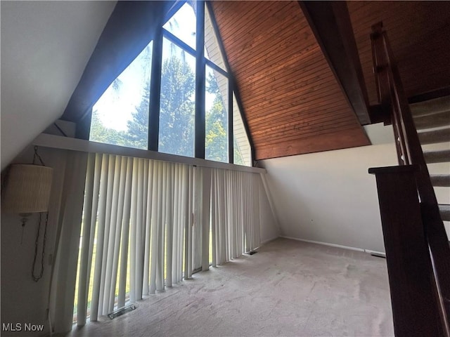 10247 Smugglers Cv, Reminderville, OH 44202 - bonus room featuring lofted ceiling and carpet
