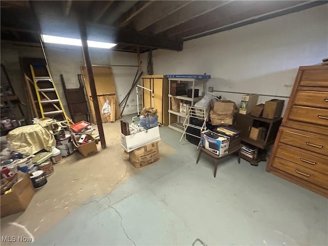 10247 Smugglers Cv, Reminderville, OH 44202 - view of storage area