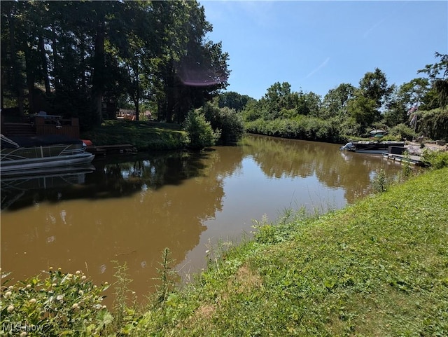 10247 Smugglers Cv, Reminderville, OH 44202 - water view