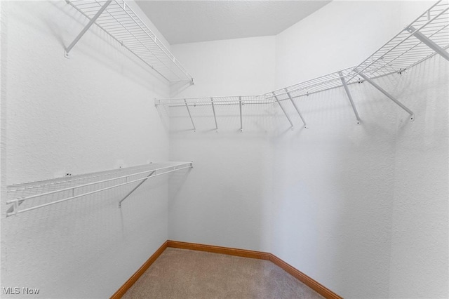 7900 Walnut St Unit 10, Boardman, OH 44512 - spacious closet with carpet