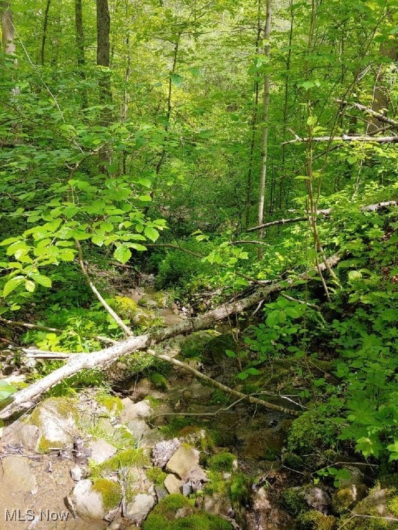 00 Cr, Mead, OH 43947 - photo 2