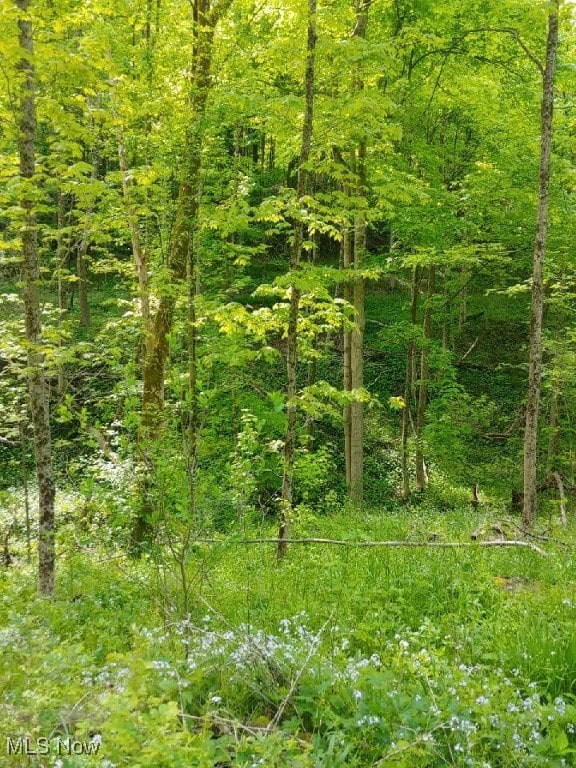 00 Cr, Mead, OH 43947 - photo 7