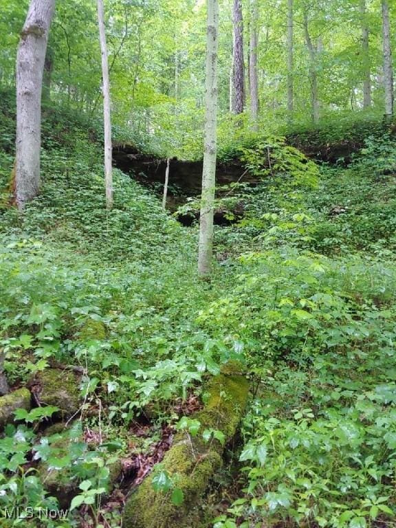 00 Cr, Mead, OH 43947 - photo 11