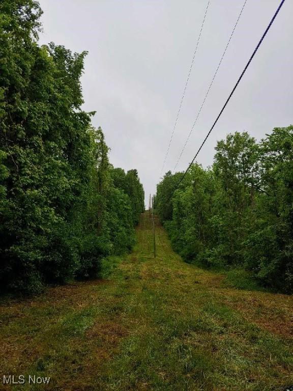 00 Cr, Mead, OH 43947 - photo 13