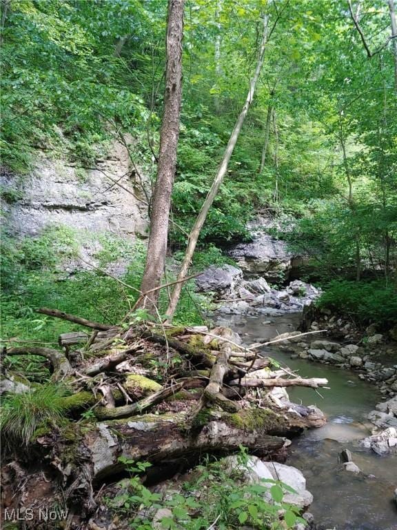 00 Cr, Mead, OH 43947 - photo 15