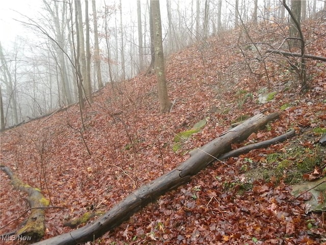 00 Cr, Mead, OH 43947 - photo 20