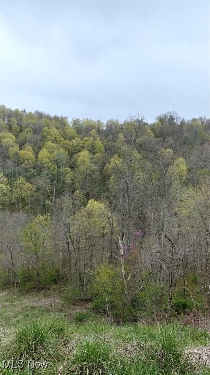 00 Cr, Mead, OH 43947 - photo 22