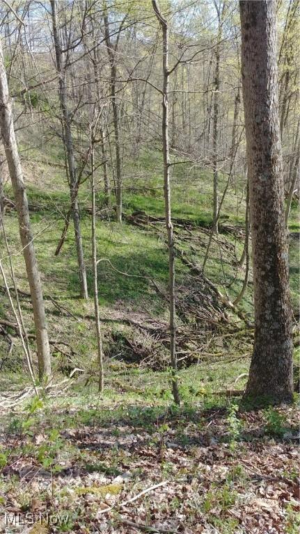 00 Cr, Mead, OH 43947 - photo 23