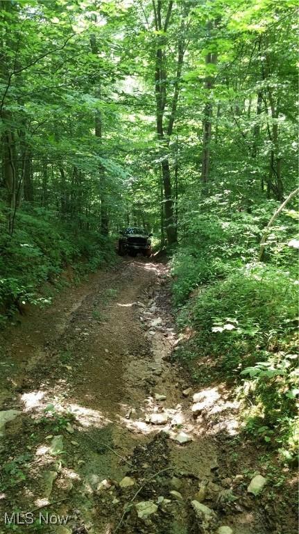 00 Cr, Mead, OH 43947 - photo 26