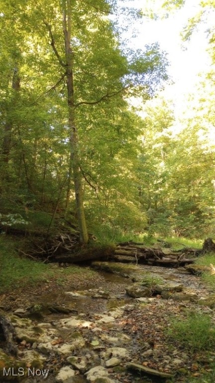 00 Cr, Mead, OH 43947 - photo 31