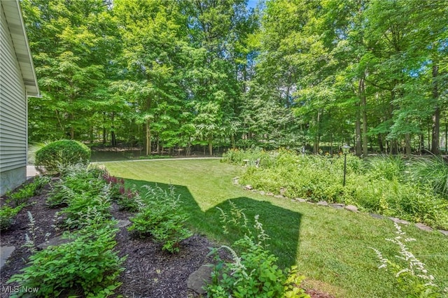 949 S Medina Line Rd, Wadsworth, OH 44281 - view of green lawn
