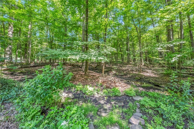 949 S Medina Line Rd, Wadsworth, OH 44281 - view of local wilderness