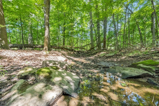 949 S Medina Line Rd, Wadsworth, OH 44281 - view of local wilderness