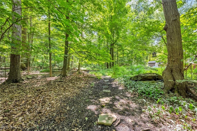 949 S Medina Line Rd, Wadsworth, OH 44281 - view of woods