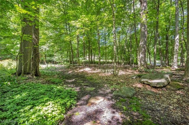 949 S Medina Line Rd, Wadsworth, OH 44281 - view of tree filled area
