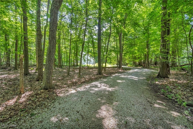 949 S Medina Line Rd, Wadsworth, OH 44281 - view of road with a forest view