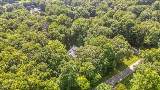 949 S Medina Line Rd, Wadsworth, OH 44281 - drone / aerial view of a heavily wooded area