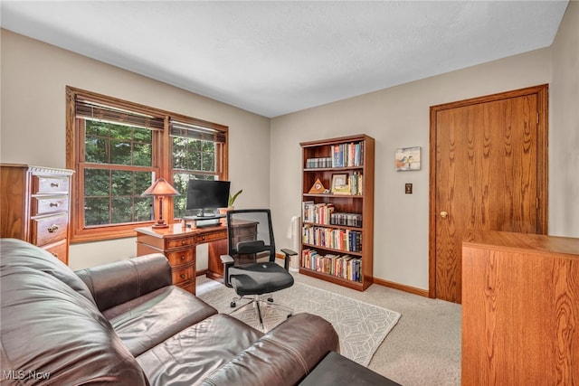 949 S Medina Line Rd, Wadsworth, OH 44281 - home office featuring carpet floors and baseboards