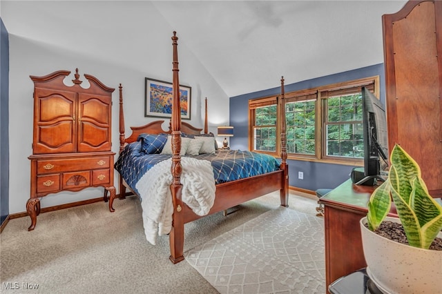 949 S Medina Line Rd, Wadsworth, OH 44281 - bedroom with lofted ceiling and carpet flooring